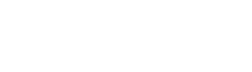 Skilion Advisory